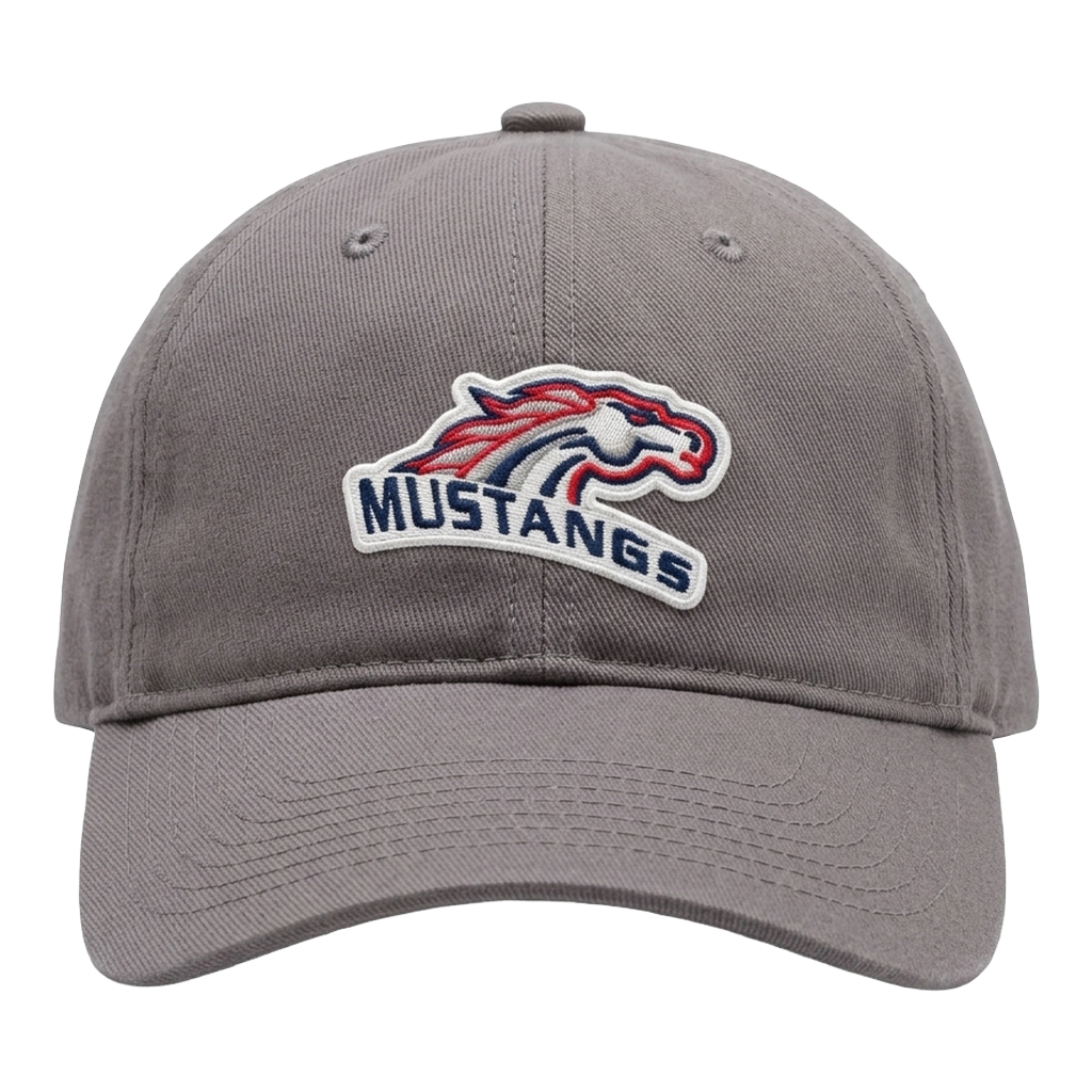 AJM 2C430M - Heavyweight Brushed Cotton Drill Cap
