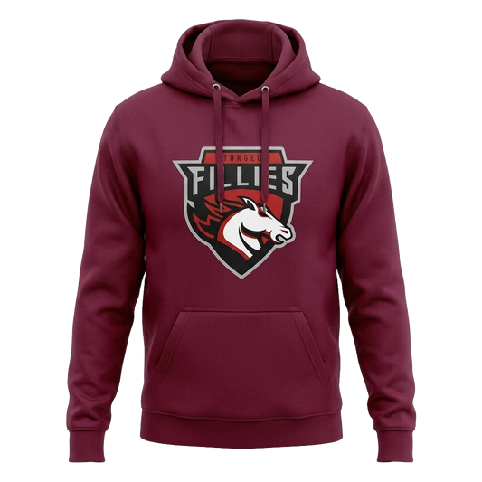 CSW 24/7 - L00550 - Vault - Adult Pullover Hooded Sweatshirt